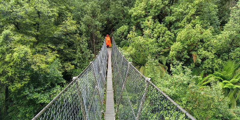 montezuma-falls-viaje-por-tasmania