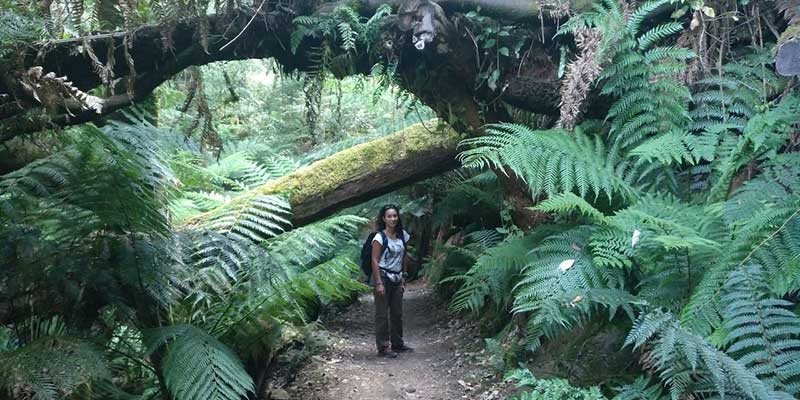 que-ver-en-tasmania-guia-de-viaje-bycamper