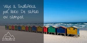 viaje-a-sudafrica-por-libre---de-safari-en-camper