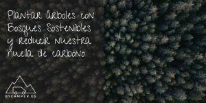 plantar-arboles-con-bosques-sostenibles---podcast